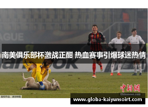 南美俱乐部杯激战正酣 热血赛事引爆球迷热情