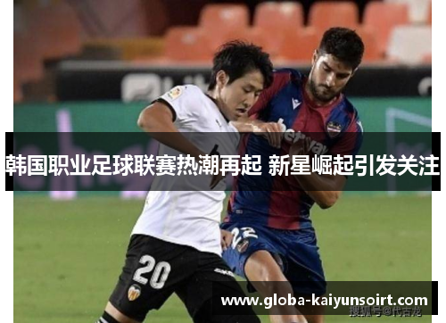 韩国职业足球联赛热潮再起 新星崛起引发关注