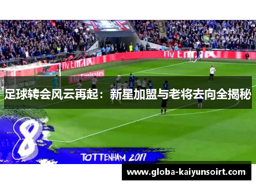 足球转会风云再起：新星加盟与老将去向全揭秘